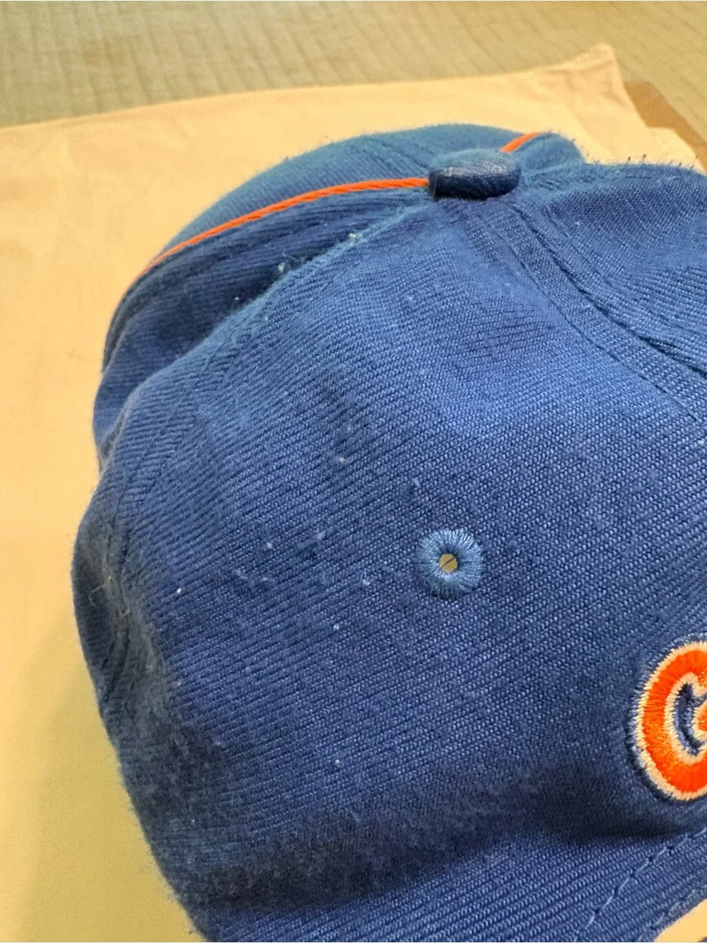 Nike Drifit University of Florida hat/ cap Gators